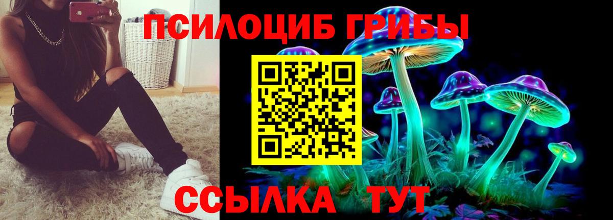 Псилоцибиновые грибы Cubensis  Вход с VPN  Новоалександровск  Галлюциногенные грибы прущие грибы 