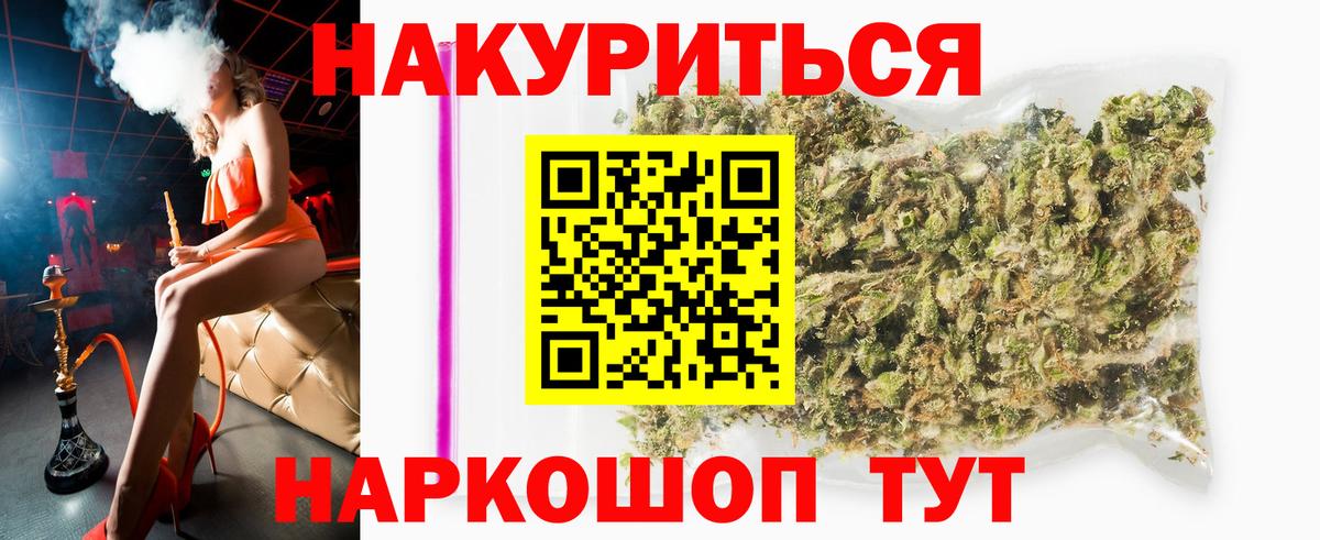 Бошки Шишки планчик Новоалександровск
